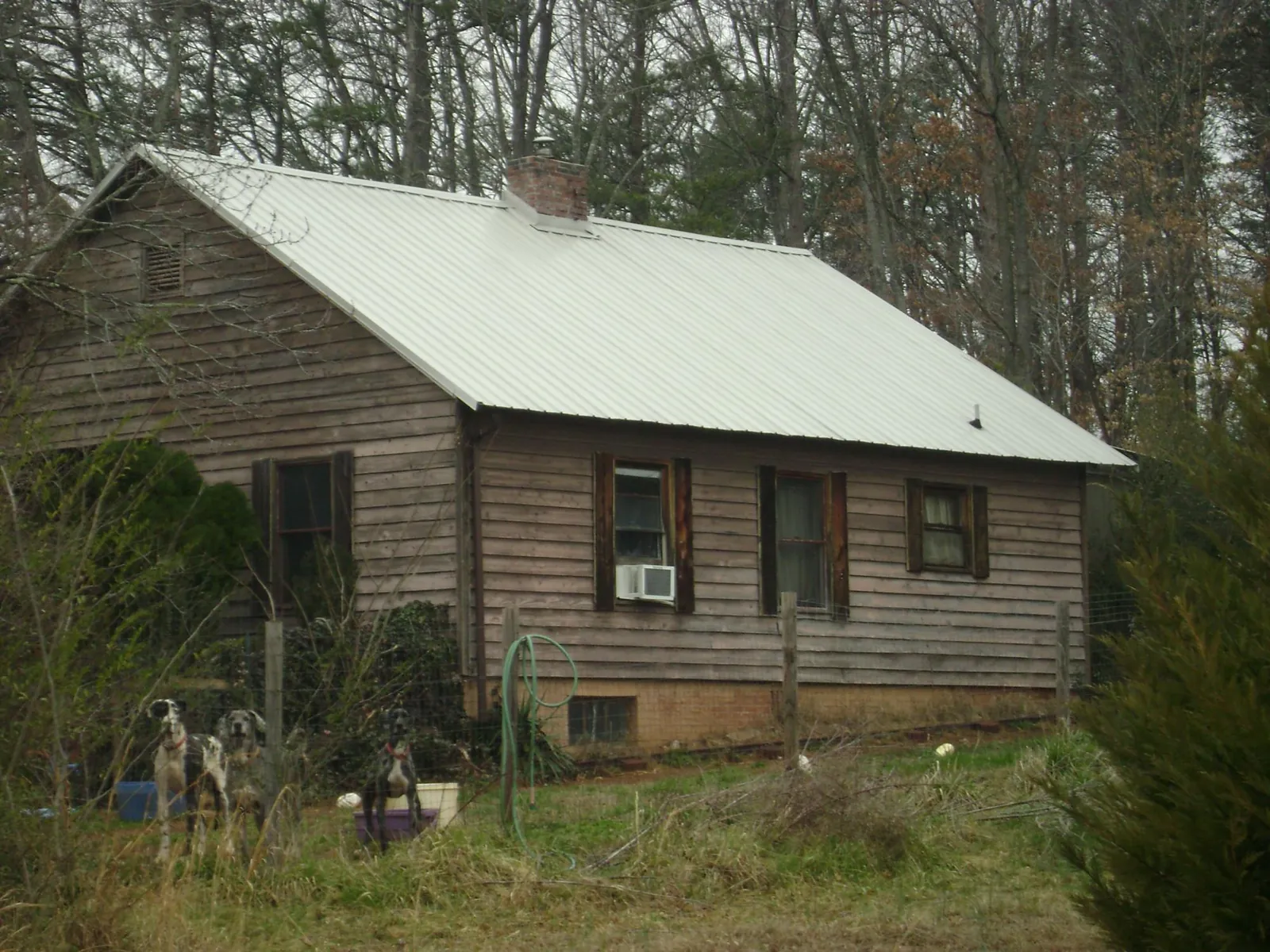 White metal roof on an old wood sided farmhouse, from a Asphalt Shingle Roof Repair job in Table Rock